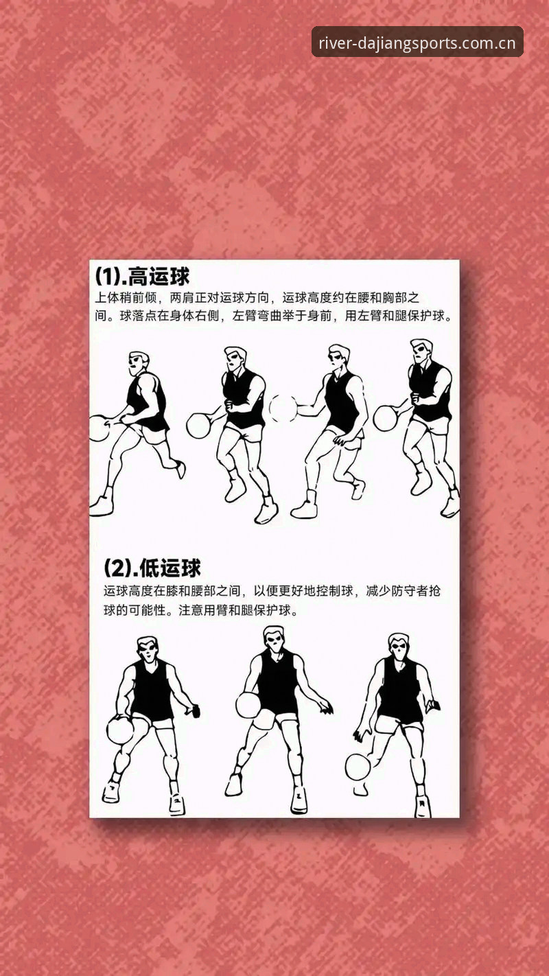 大江体育使用教程：从入门到精通的高效操作指南